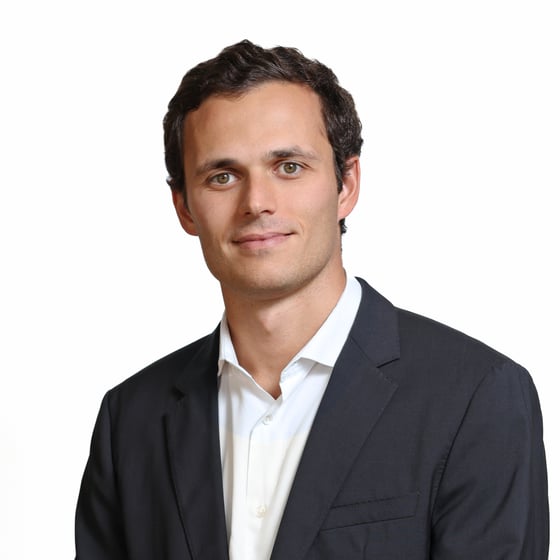 Francisco Silva, Promotor Imobiliário