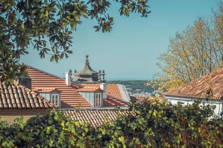 View of traditional rooftops in Óbidos, Portugal, featuring historic domes and lush greenery. Picturesque medieval townscape under a clear blue sky.