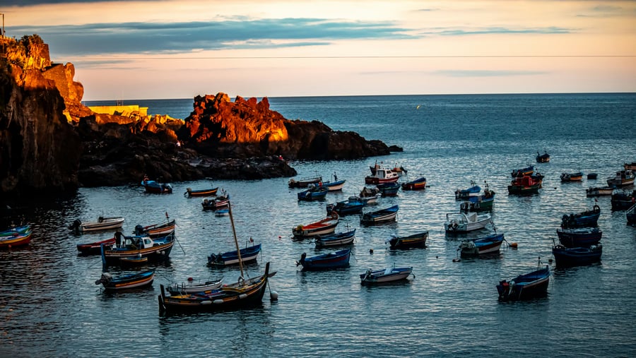Colorful fishing boats anchored in Câmara de Lobos bay, Madeira, Portugal, at sunset. Picturesque coastal view with golden cliffs and calm Atlantic waters.