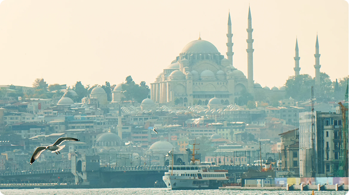 Panoramic view of Istanbul with the Suleymaniye Mosque in the background and seagulls flying over the Bosphorus.